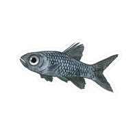 Blue Fish Sticker