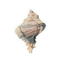 Conch Shell Sticker