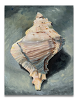 "Adored Vessel" Giclée Print