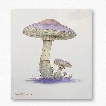 Sketchbook: Purple Mushrooms