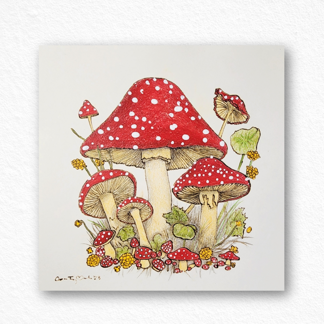 Sketchbook: Red Mushrooms
